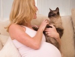 Токсоплазмоз під час вагітності
