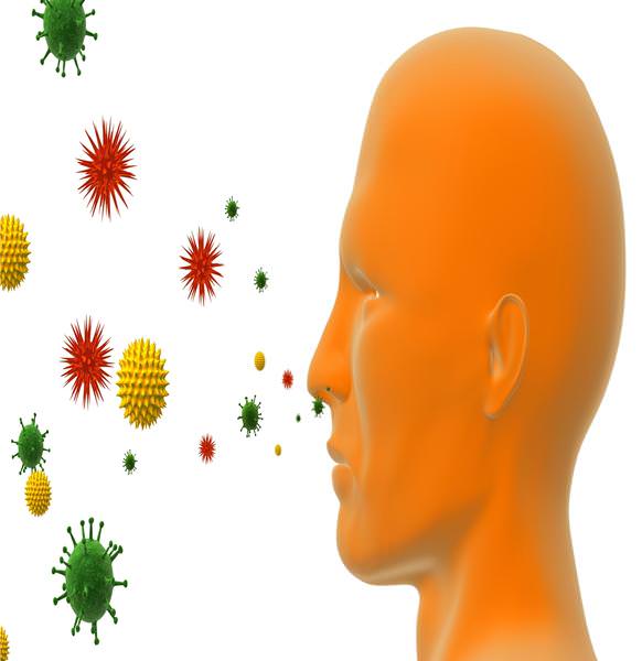 Алергія   бич 21 століття