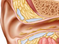 Можливі причини навязливого дзвону у вухах