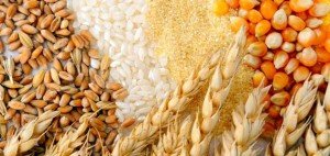 Худнемо на кашах: зернова дієта