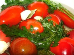 Як солити помідори в банку і бочку, на зиму   правильно засаливаем червоні і зелені томати