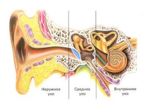 Які хвороби вуха у людини відомі медицині