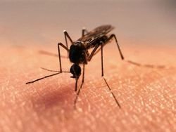 Засіб для захисту від комарів