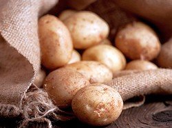 Як вибрати картоплю при покупці?