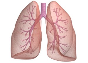 Синдром бронхіальної обструкції і обструктивний бронхіт у дітей