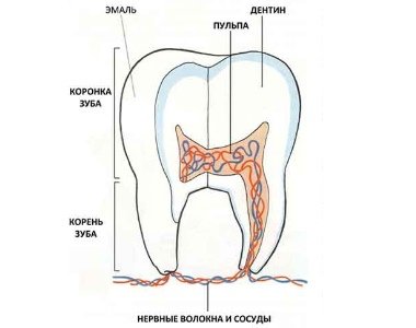 Причини і лікування пульпіту молочних зубів у дітей