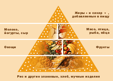 Що являє собою піраміда правильного харчування?