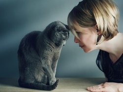 Мова жестів або як зрозуміти кішок