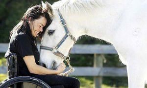 Іпотерапія: коні лікують хвороби людей