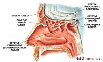 Гострий гайморит: симптоми і методи лікування