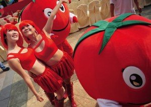 Розсада помідорів: щасливе дитинство маленьких томатів