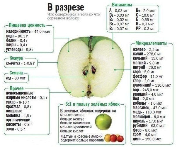 Яблука: корисні властивості