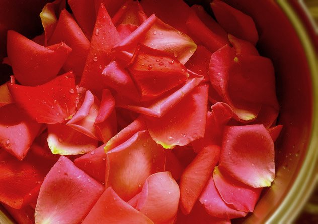 Як зробити тонік з пелюсток троянд без спирту для догляду за шкірою і волоссям