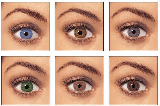 Колір очей і характер. Як визначити характер людини за кольором очей?