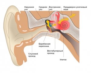 Запалений слух: як лікувати отит в домашніх умовах
