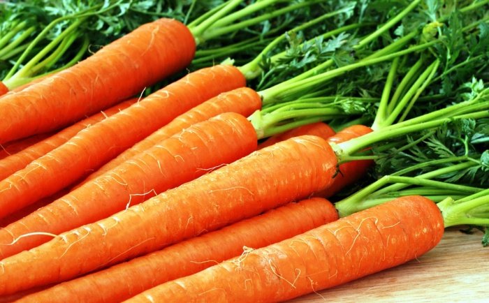 Поради по вирощуванню і догляду за морквою