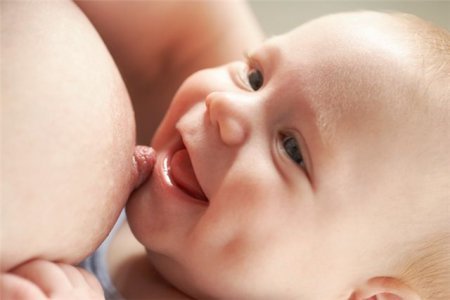 Як часто годувати новонародженого?