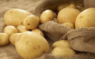 Картопля догляд та вирощування