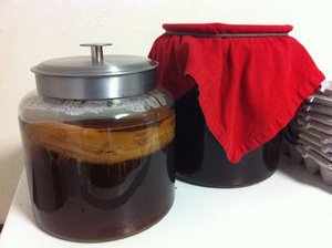 Два простих способи виростити в домашніх умовах чайний гриб