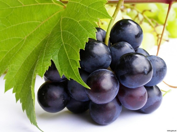 Сорти винограду Алешенькин і Мінський рожевий