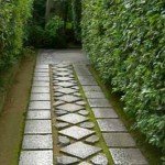 Садові доріжки з тротуарної плитки: 50 фото
