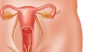 Опис і лікування лейкоплакії шийки матки