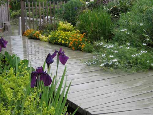 15 порад як самому зробити гарний дизайн саду