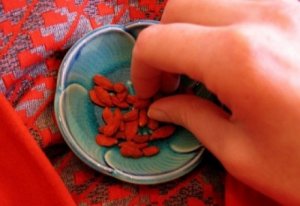 Тибетська барбарис, або що таке ягоди годжі?
