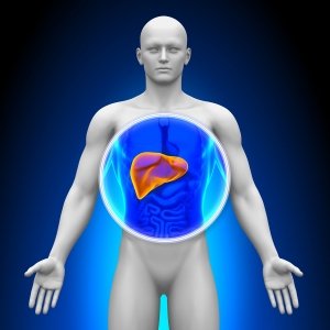 Причини зміни в структурі паренхіми печінки: поради та рекомендації