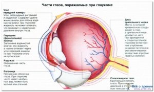 Глаукома: не пропустіть початок хвороби!