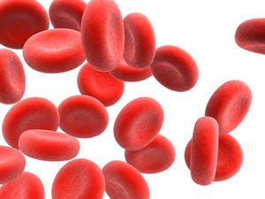 Що можуть означати показання підвищених моноцитів в крові у дорослої людини?