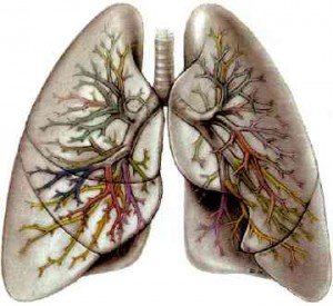 Рак легенів несмертный вирок: ефективне народне лікування
