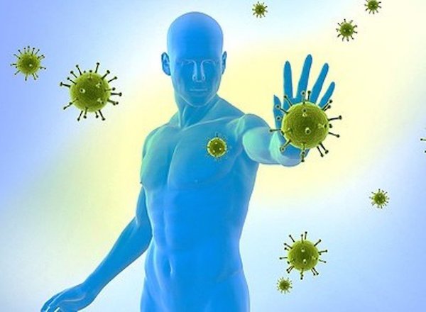 Як підвищити імунітет в домашніх умовах за допомогою натуральних засобів