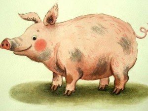 Вживання свинячого жиру в якості лікування