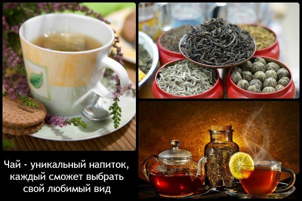 Як вибрати смачний і корисний чай