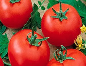 Огляд кращих сортів томатів для Уралу з фотографіями