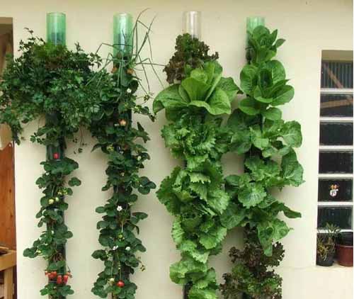 15 ідей для дачі: вертикальний сад з пластикових пляшок