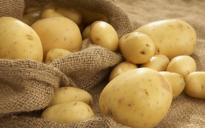 Як зберегти врожай картоплі