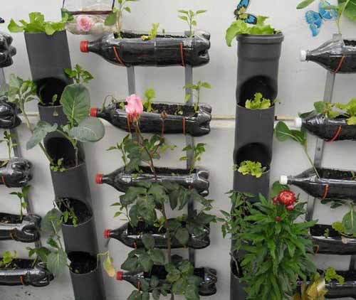 15 ідей для дачі: вертикальний сад з пластикових пляшок