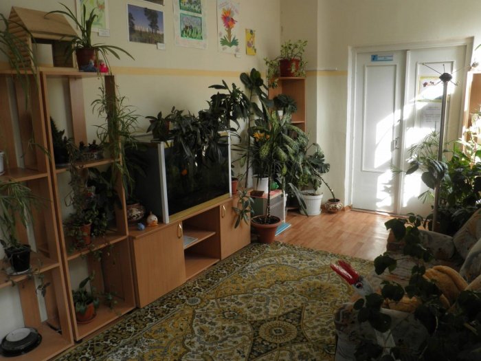 Кімнатні рослини вдома, передпокої та вітальні