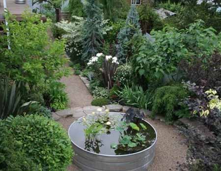 Секрети красивого саду: маленький водойма в саду