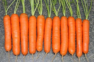 Як посадити моркву, щоб вона швидко зійшла