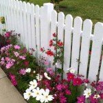 Красиві дачі : 35 фото парканів з квітами