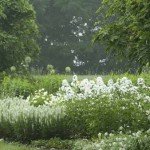 Ландшафтний дизайн в прикладах: 30 фото білого «місячного» саду