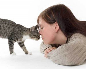 Як кішки лікують хвороби у людини