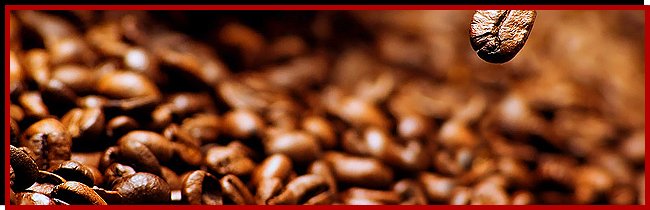 Корисні властивості кави для волосся: тепер його можна не тільки пити