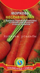 Вдалі сорти моркви для Сибіру.