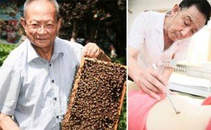 Секрети апітерапії або лікування бджолами