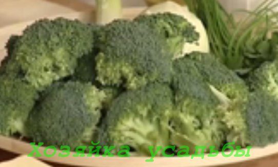 Готуємо страви з капусти броколі