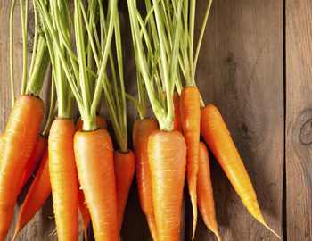 Користь від вживання в їжу моркви
